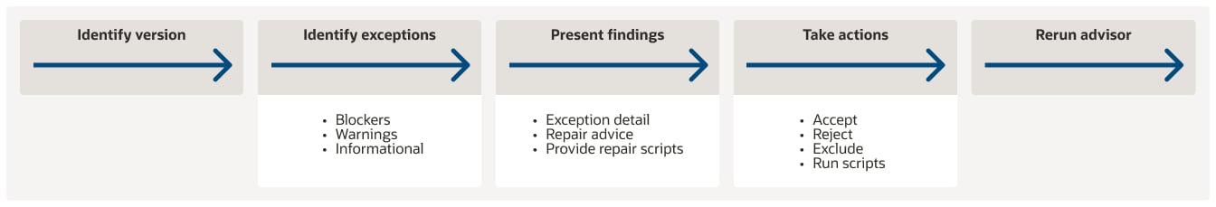 asesor de migración
