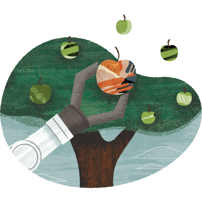 Autonomous Data Warehouse 使用案例